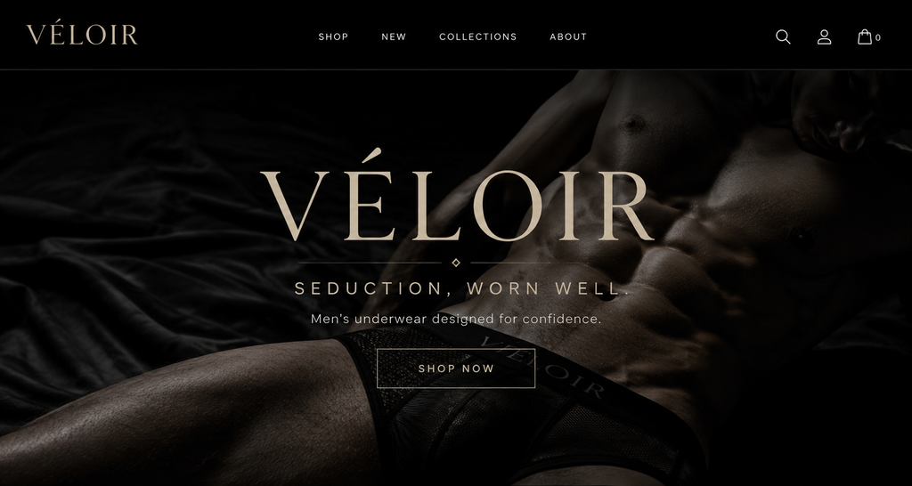VÉLOIR NO.01 — Black Mesh Brief